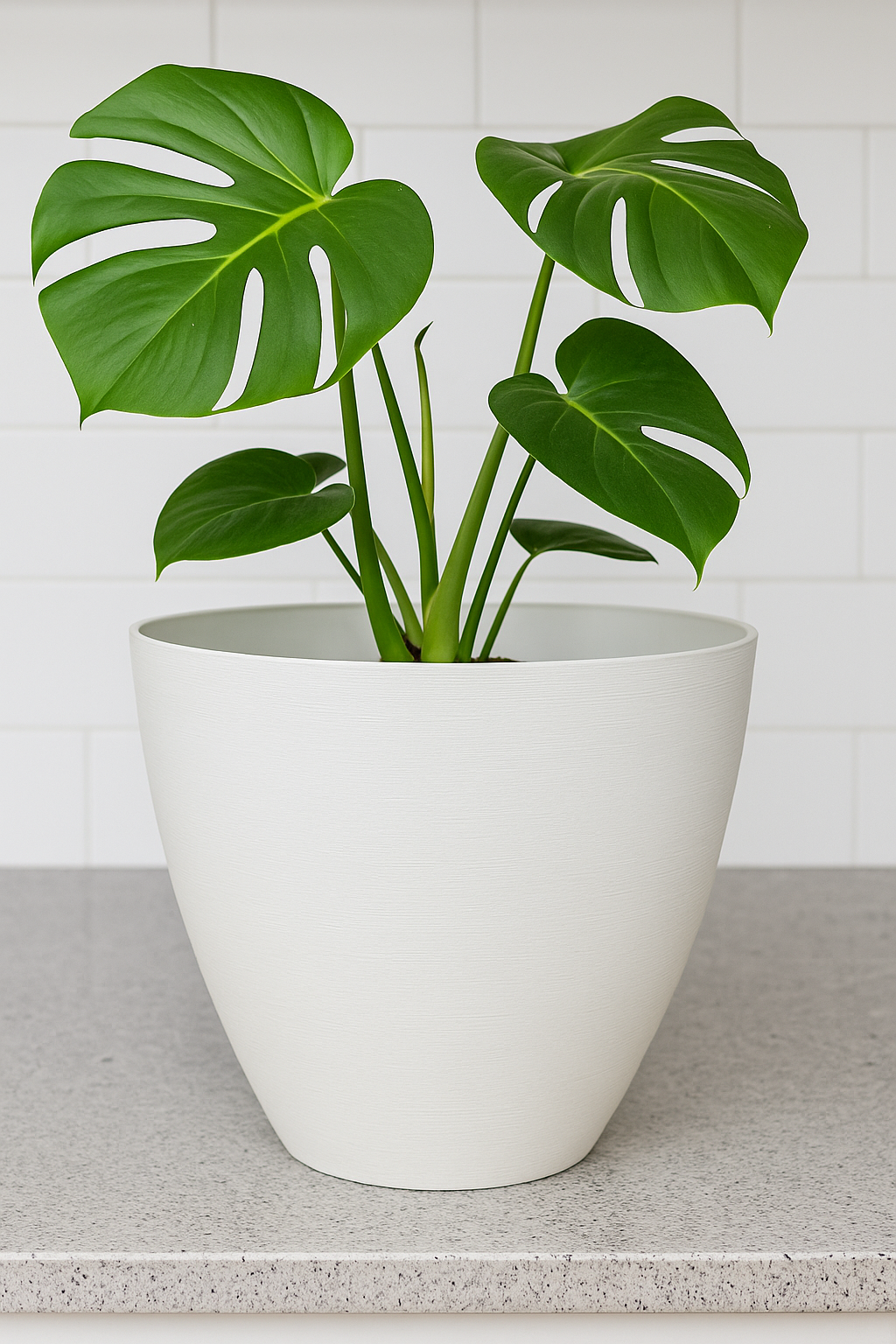 🌿 Transform Your Small Garden Space with Lightweight Plastic Pots