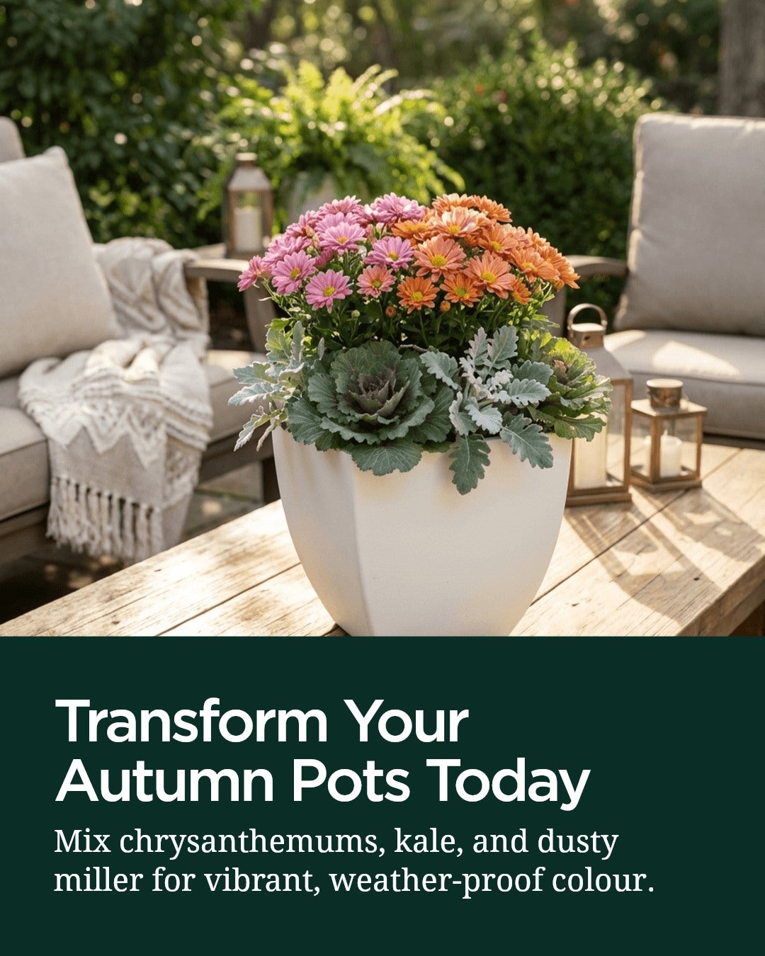 Brighten Your Garden Pots This Autumn with Colour and Texture