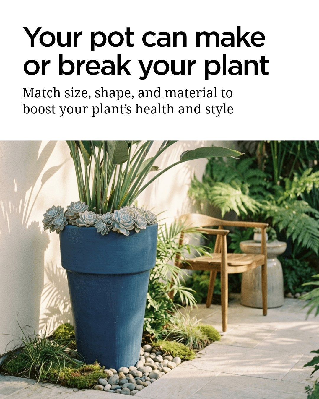 How to choose the right pot for your plant and your space