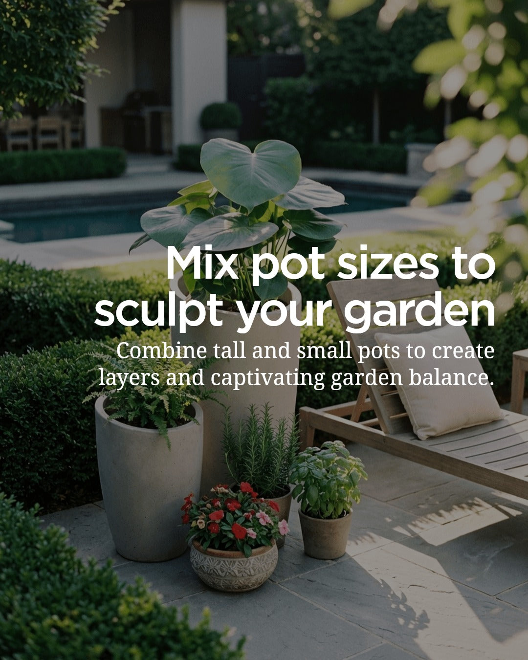 How to Add Height and Balance to Your Garden with Pots