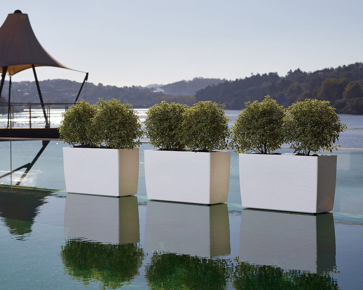 White square planters with clipped round shrubs beside the water, with wooded hills behind
