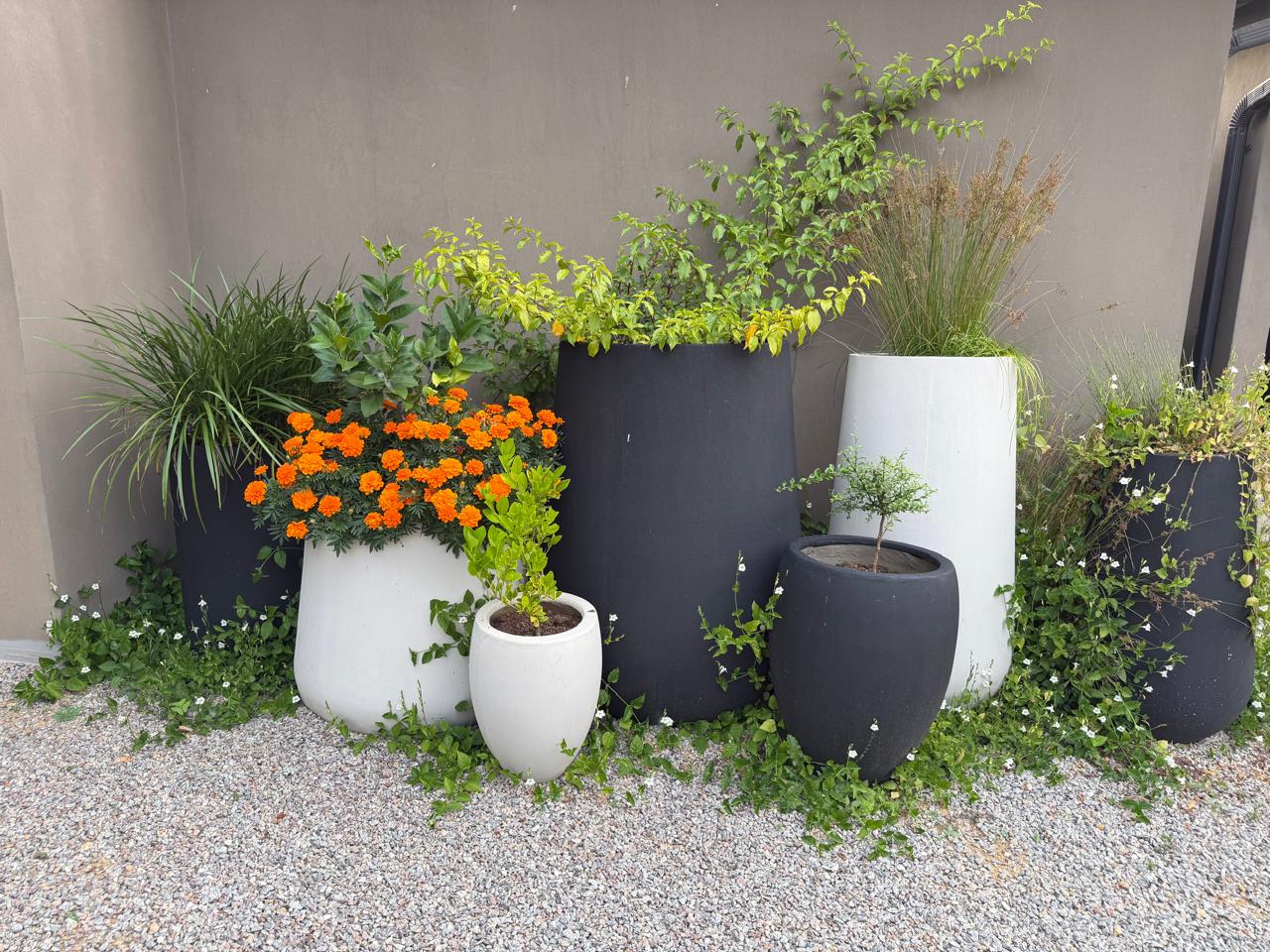 How to style a garden with pots, mixing shapes, colours and textures