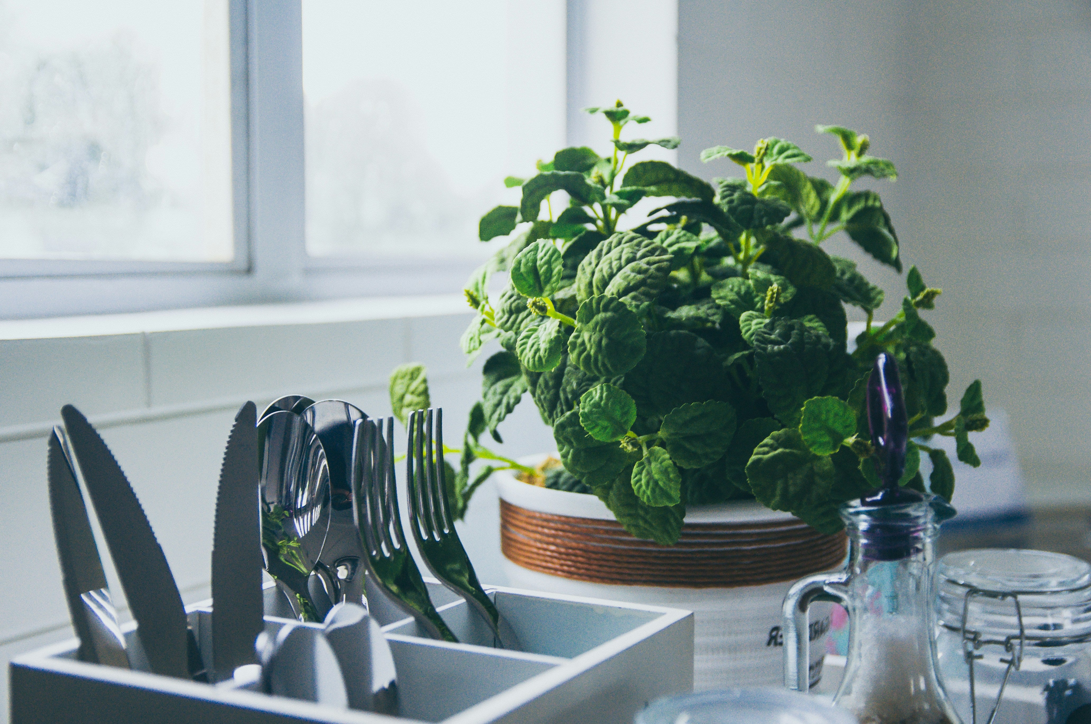 Growing Your Own Herbs: Best Pots and Tips for a Kitchen Herb Garden