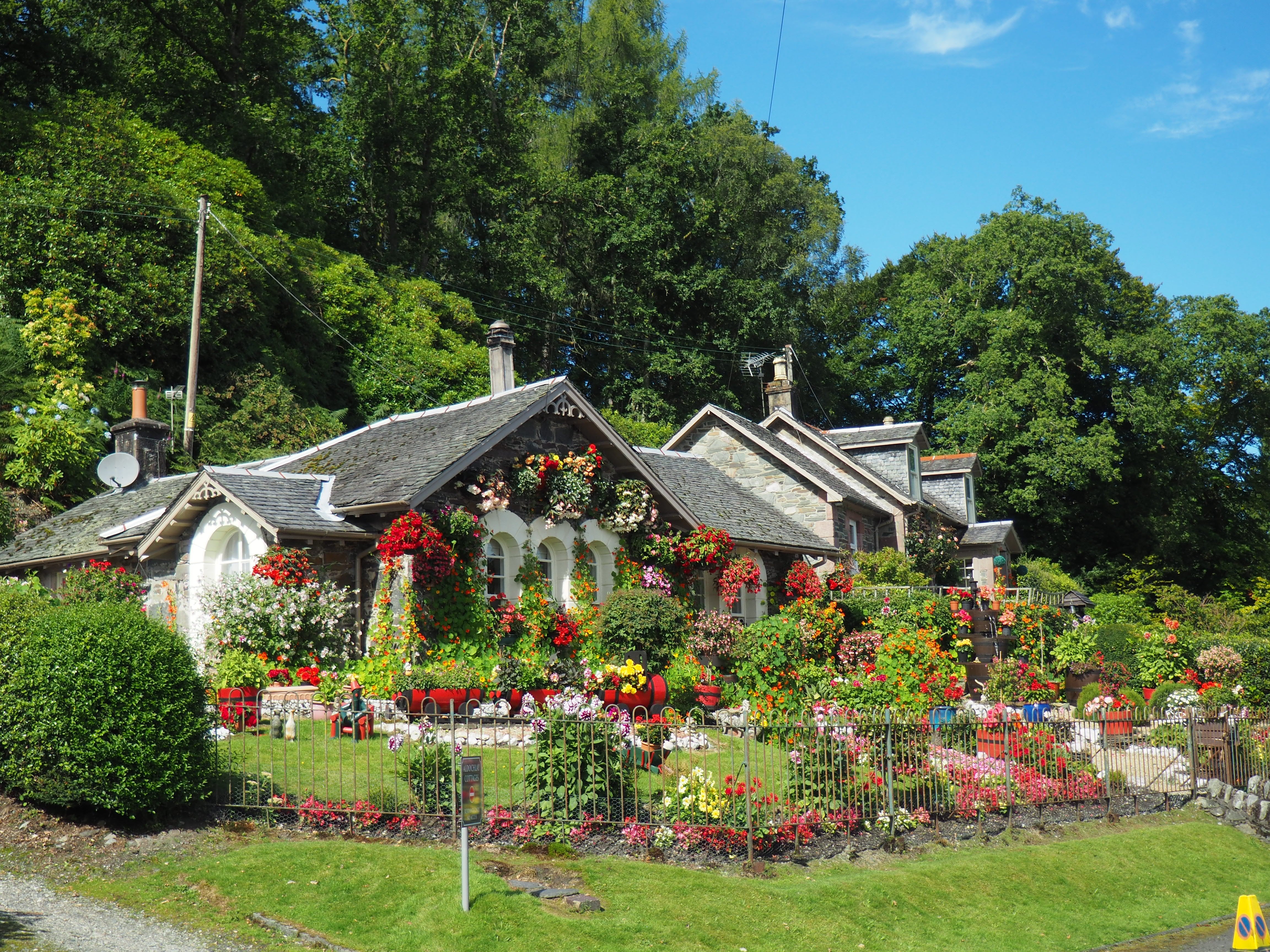 12 ways to create a sensory garden