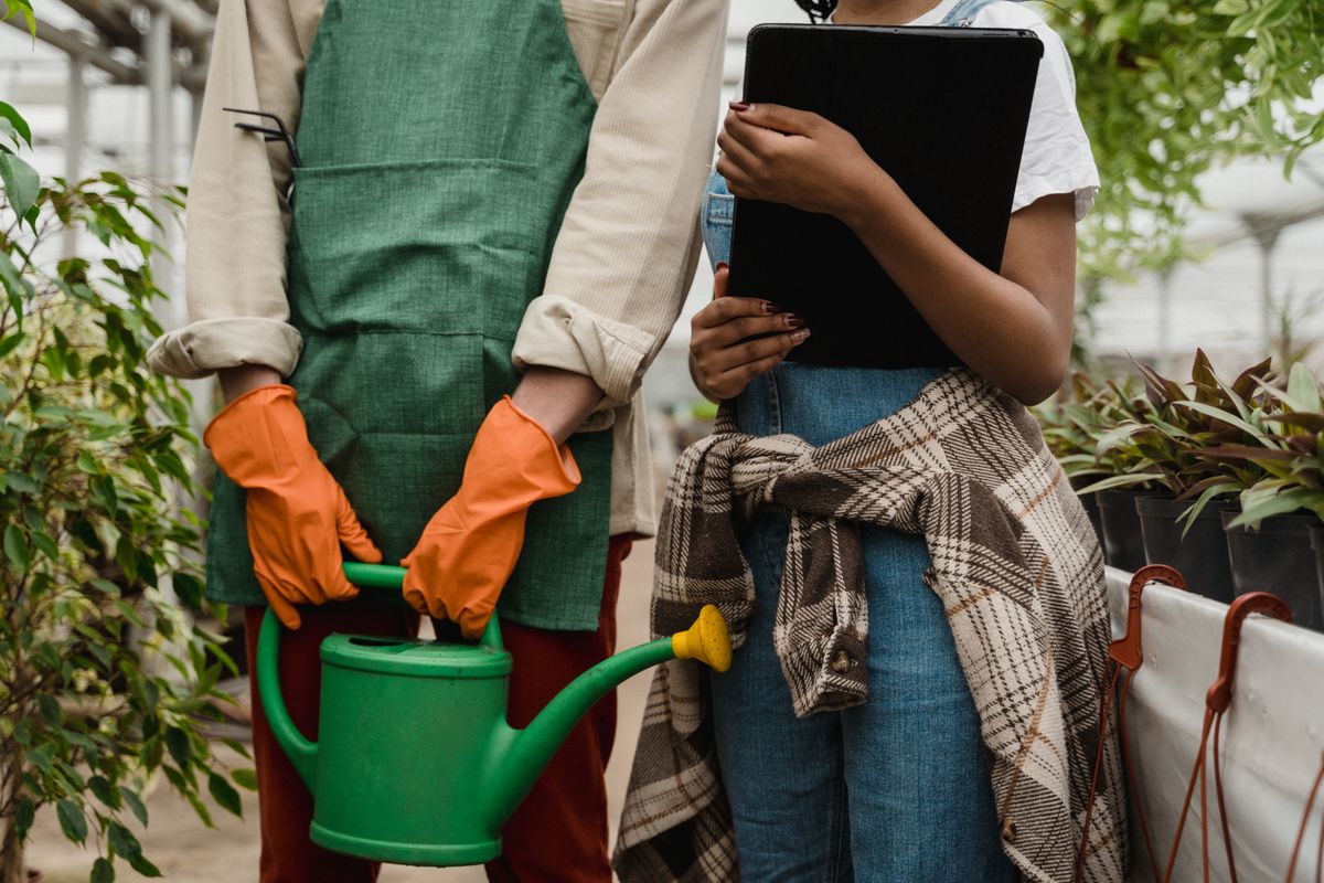 Two people choosing between plants in a nursery, one holding a tablet