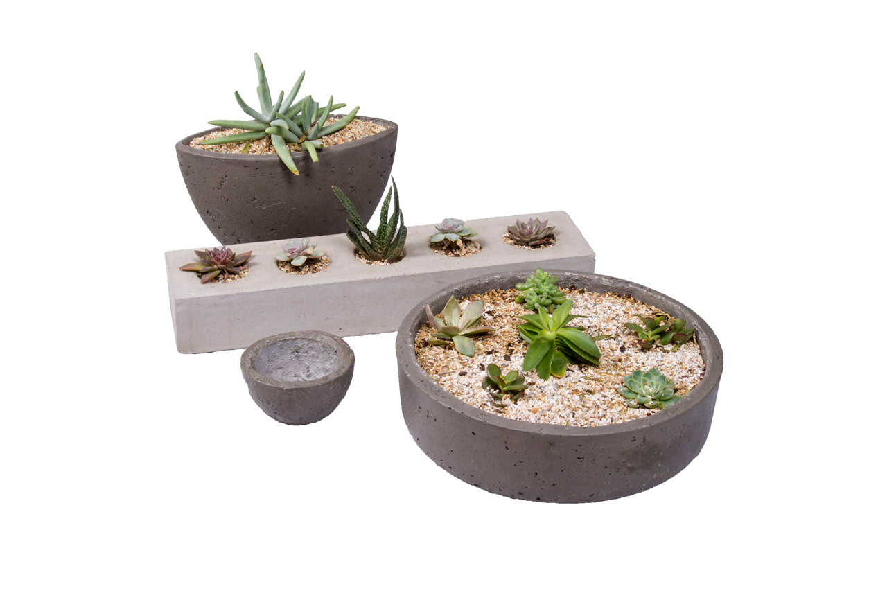 Succulent Planters
