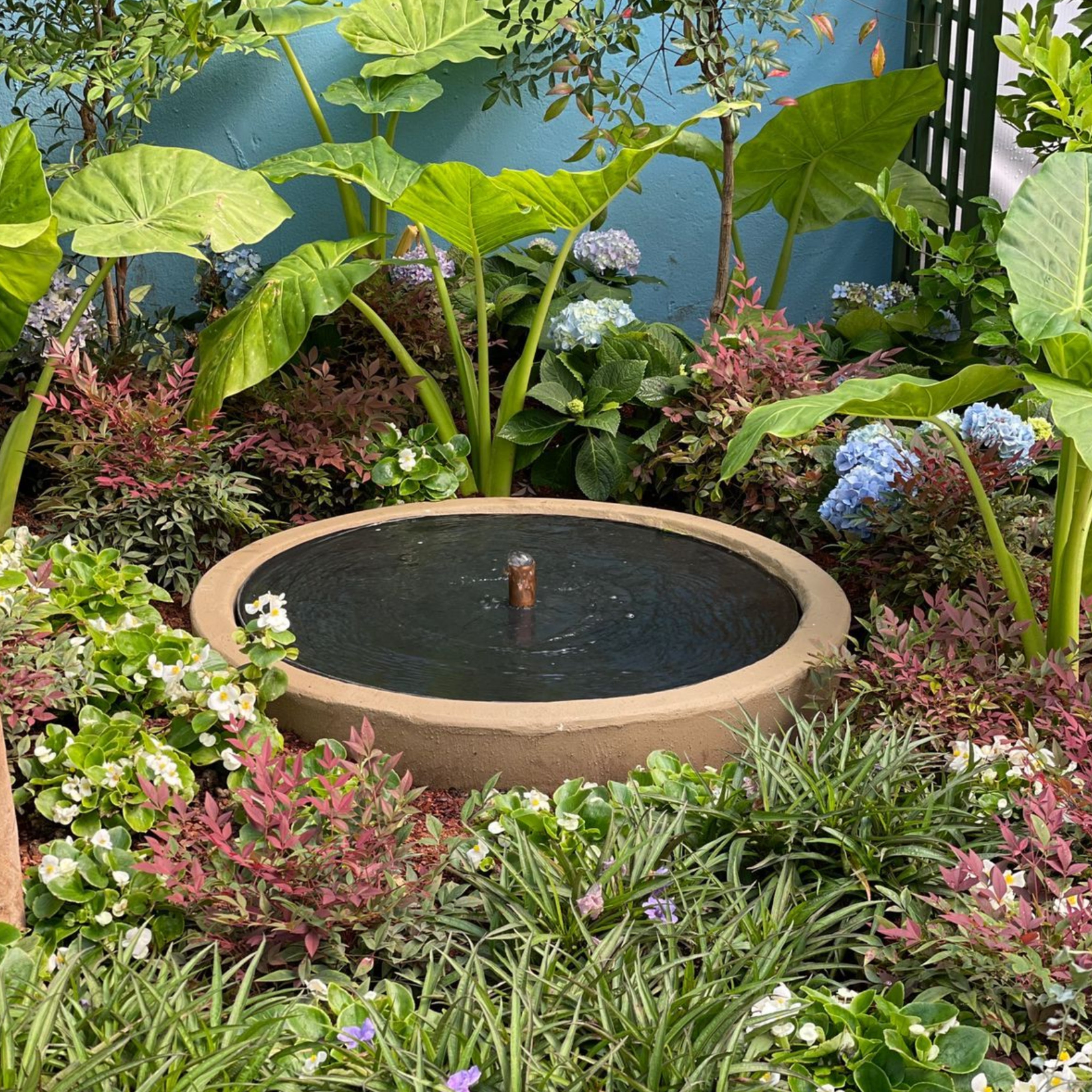 Water Features