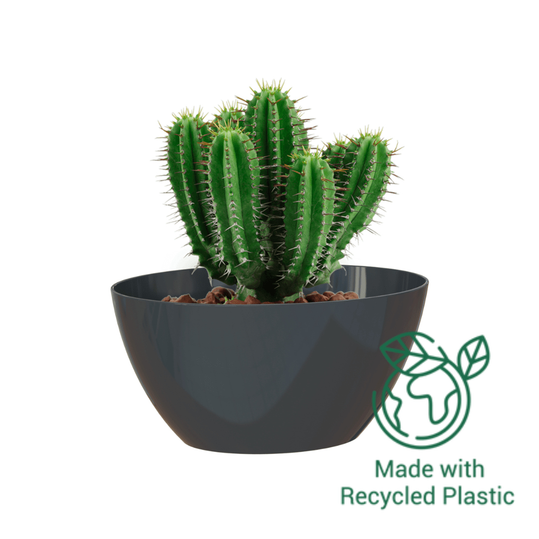 Bahia Plant Box | Artevasi Artevasi Gauteng Plastic Pots