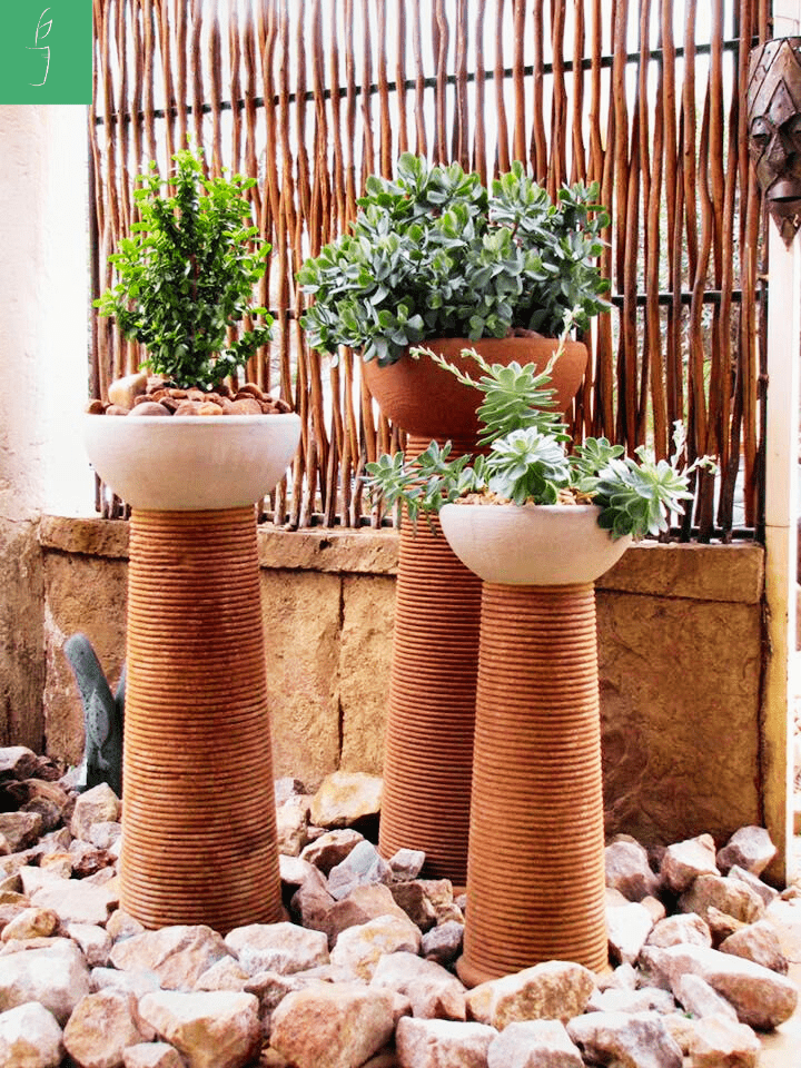 Baobab Concrete Pot The Pot Shack Gauteng Concrete Pot