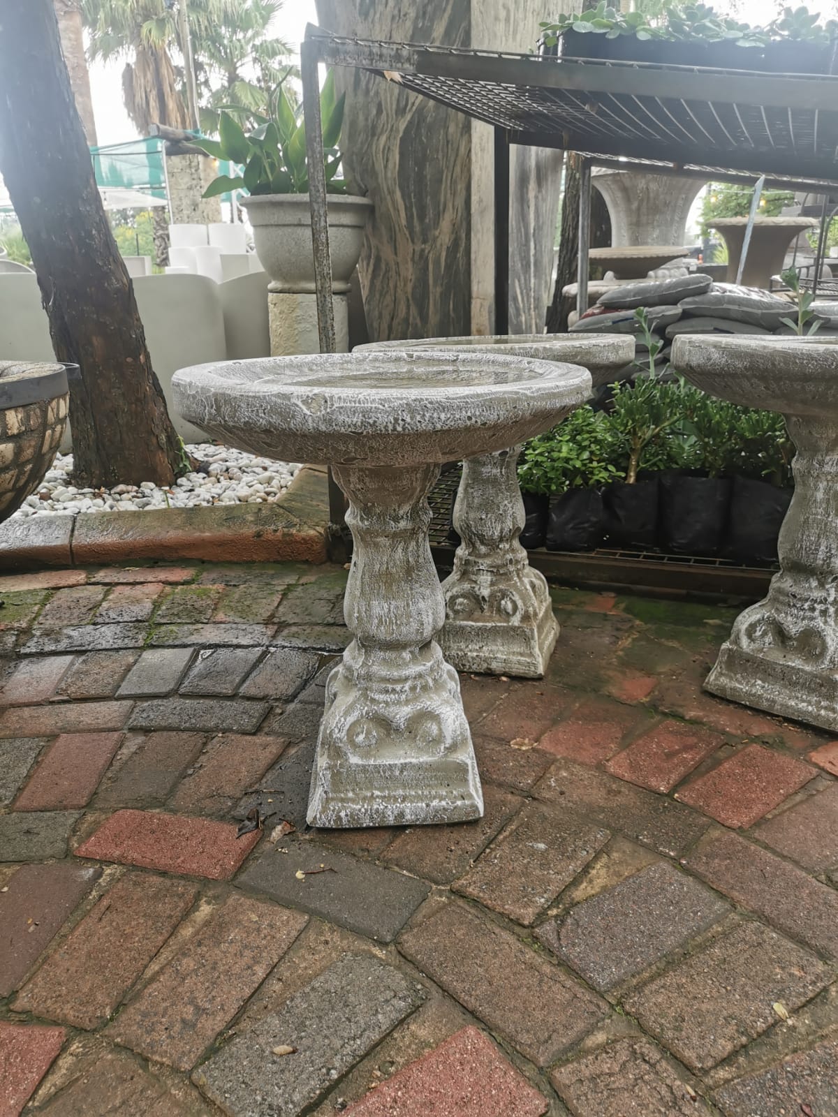 Bird Bath The Pot Shack Gauteng Concrete Pot
