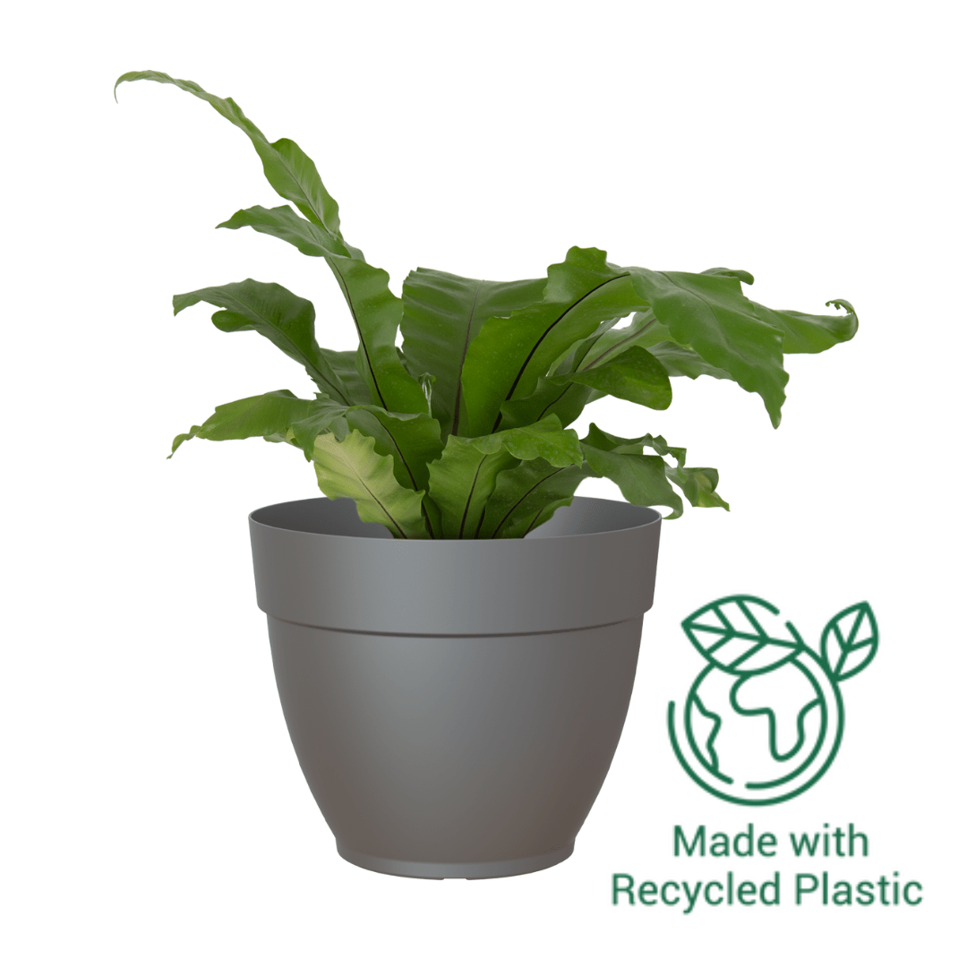 Capri Campana Plant Pot | Artevasi Artevasi Gauteng Plastic Pots