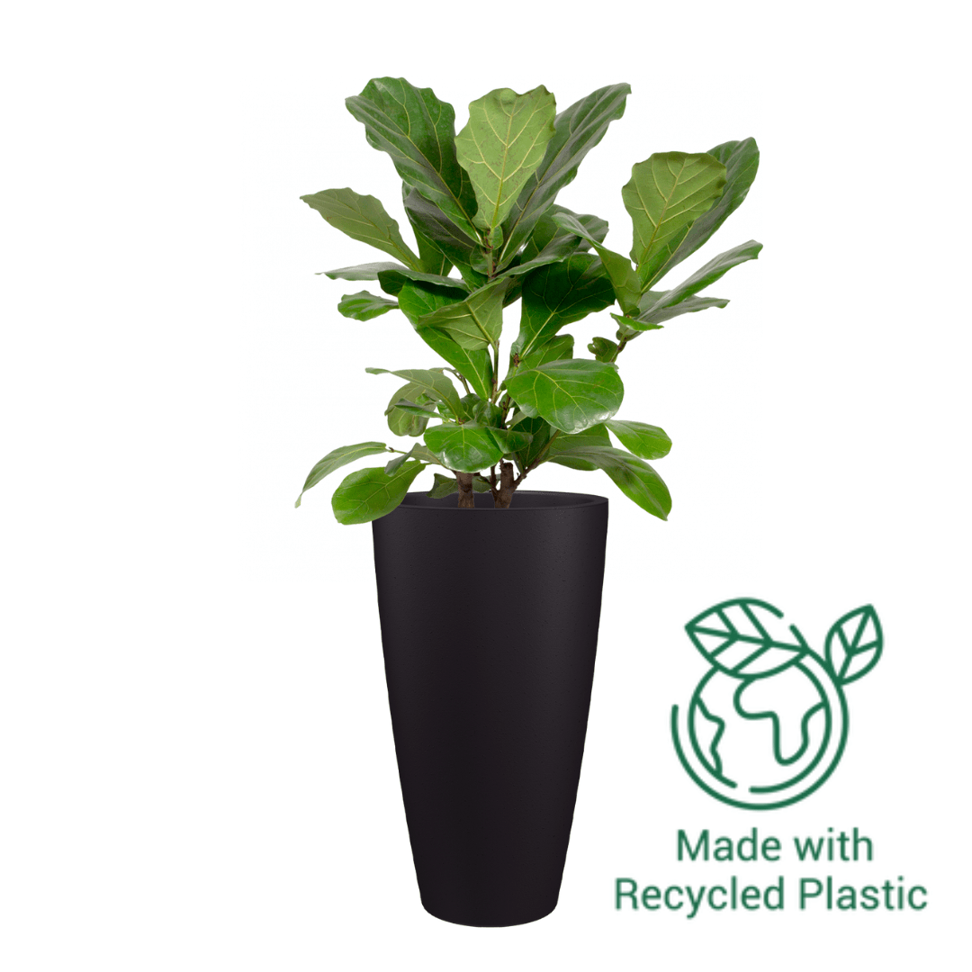 Havana Natural High Pot | Artevasi Artevasi Gauteng Plastic Pots