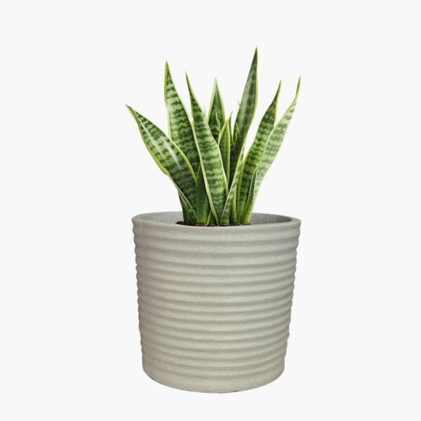 Helsinki - Lightweight The Pot Shack Gauteng Lightweight Décor Range