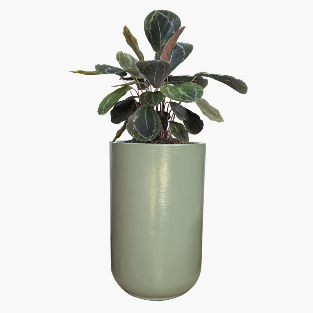 Milan - Lightweight The Pot Shack Gauteng Lightweight Décor Range