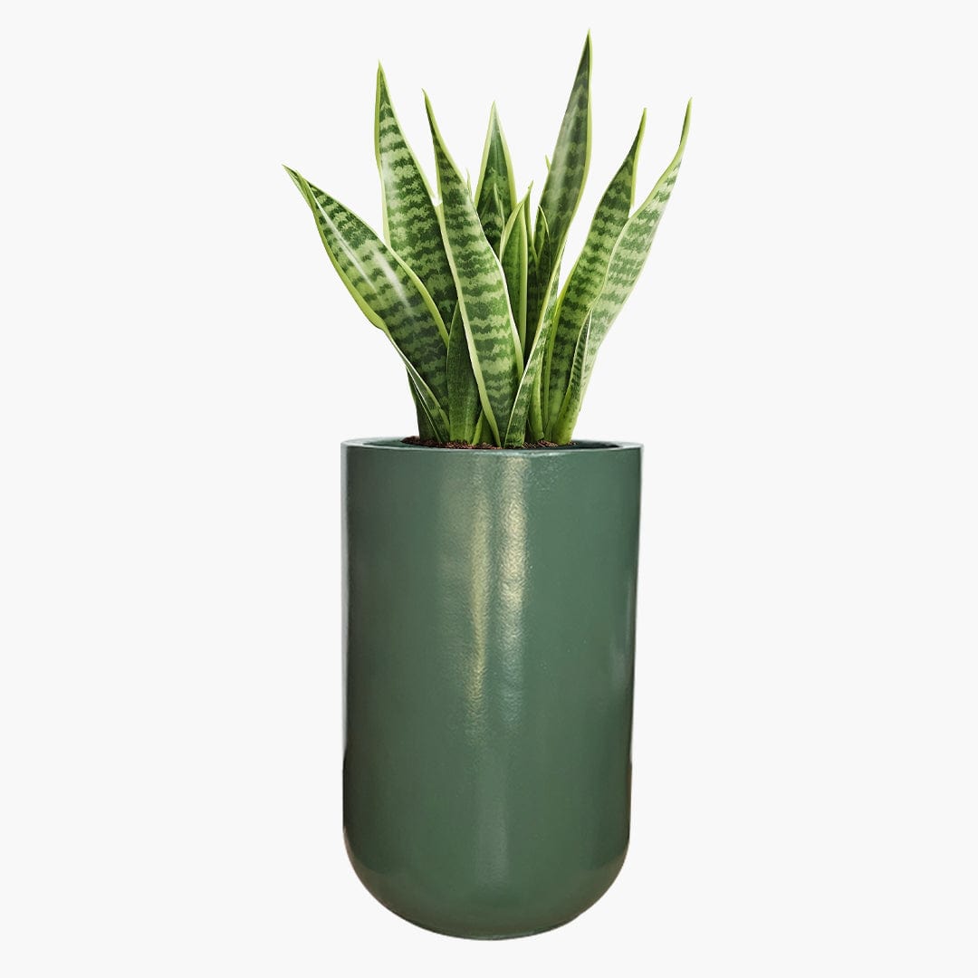 Milan - Lightweight The Pot Shack Gauteng Lightweight Décor Range