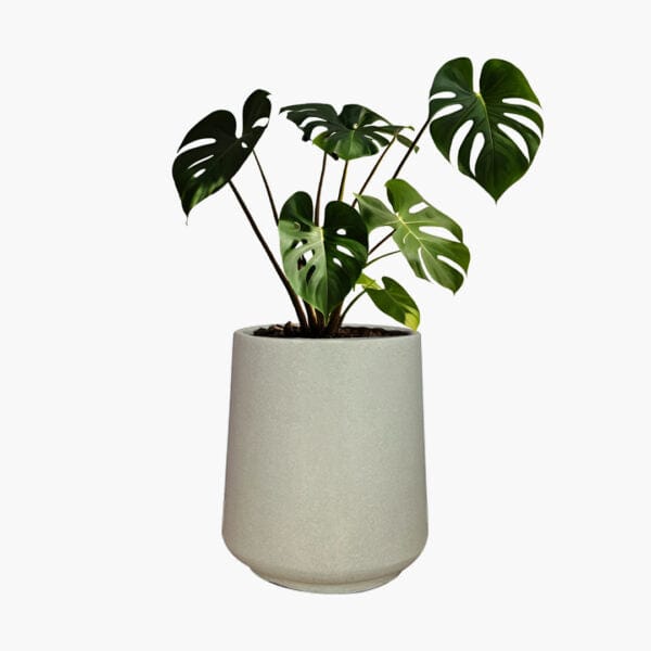 Nebraska mini - Lightweight The Pot Shack Gauteng Lightweight Décor Range