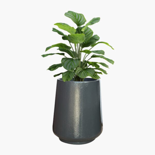 Nebraska mini - Lightweight The Pot Shack Gauteng Lightweight Décor Range