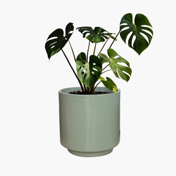 Oslo - Lightweight The Pot Shack Gauteng Lightweight Décor Range