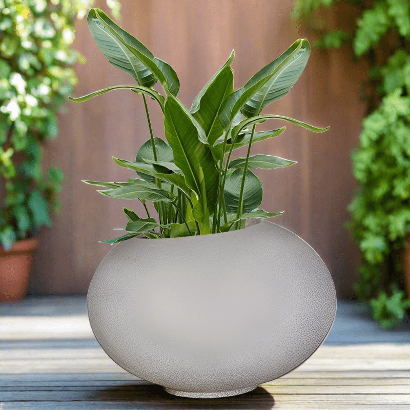 Premium Arizona Plant pot The Pot Shack Gauteng Concrete Pot