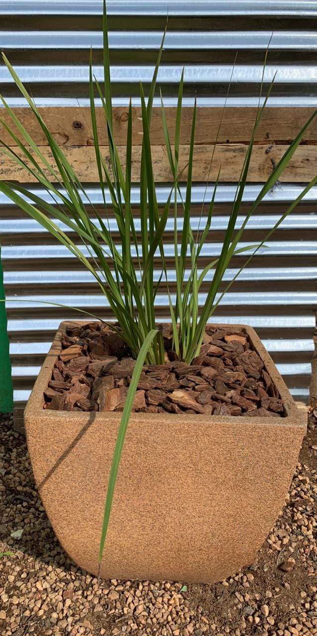 Premium Bolivia Plant Pot The Pot Shack Gauteng Concrete Pot