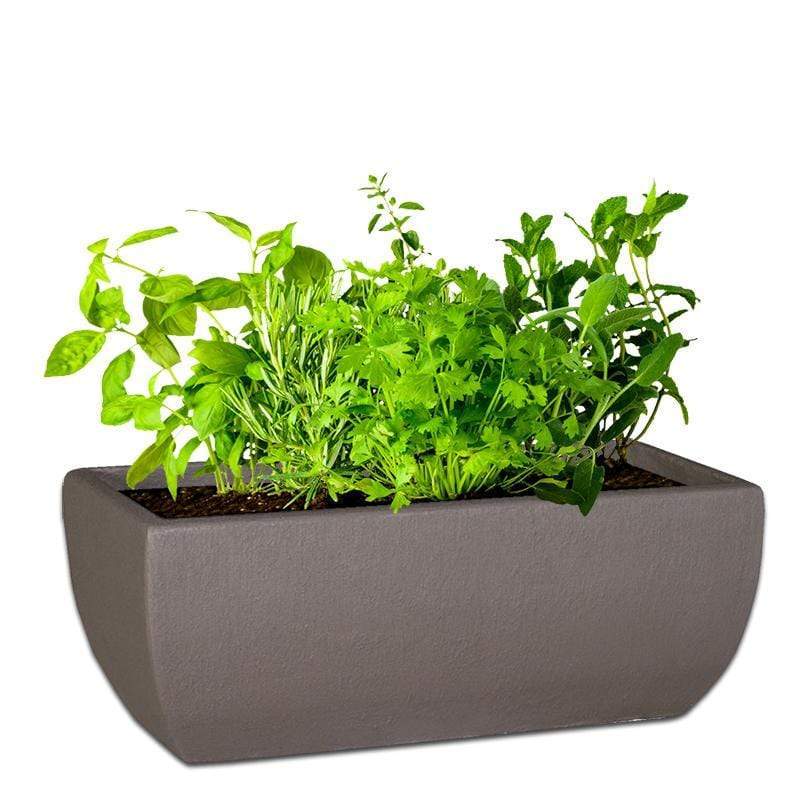 Premium Bolivia Trough Plant Pot The Pot Shack Gauteng Concrete Pots