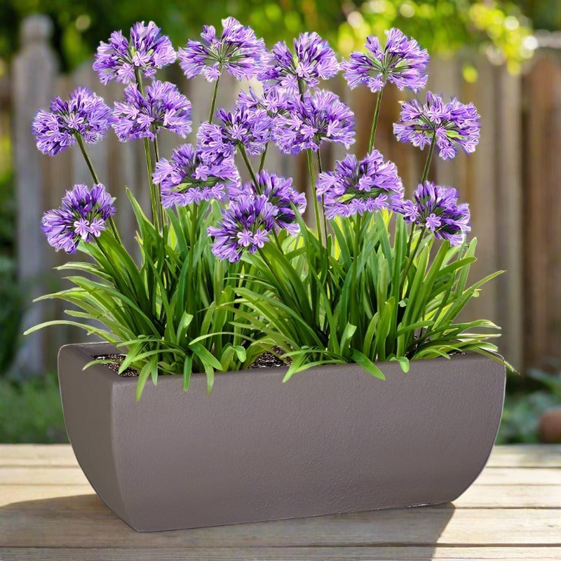 Premium Bolivia Trough Plant Pot The Pot Shack Gauteng Concrete Pots