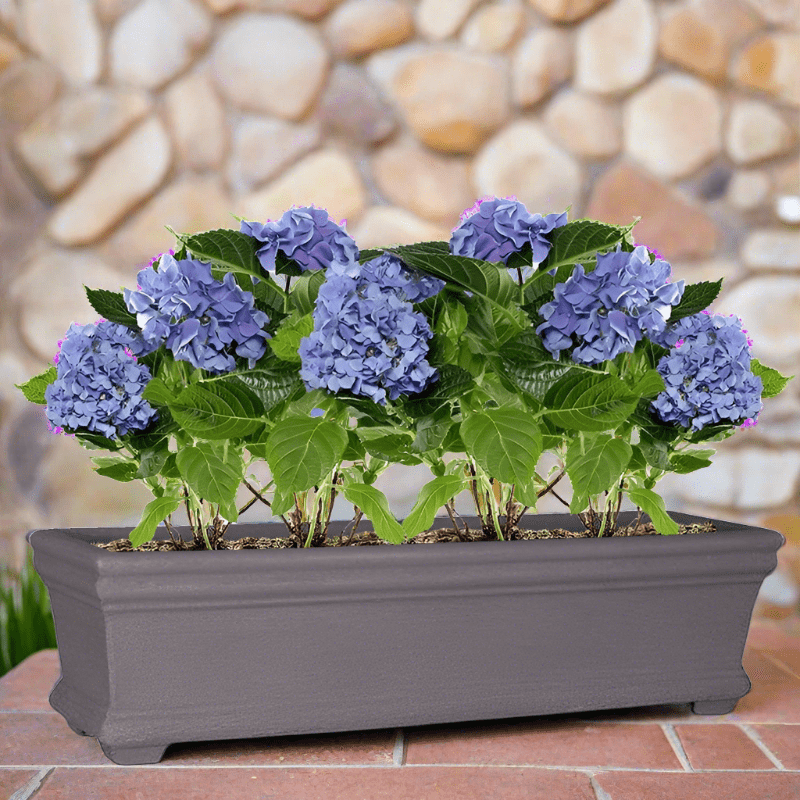 Premium Clermont Trough Plant Pot The Pot Shack Gauteng Concrete Pot