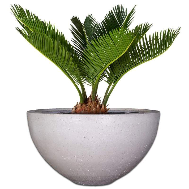 Premium Delia Plant Pot The Pot Shack Gauteng Concrete Pot