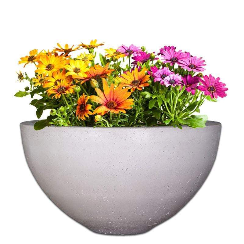 Premium Delia Plant Pot The Pot Shack Gauteng Concrete Pot