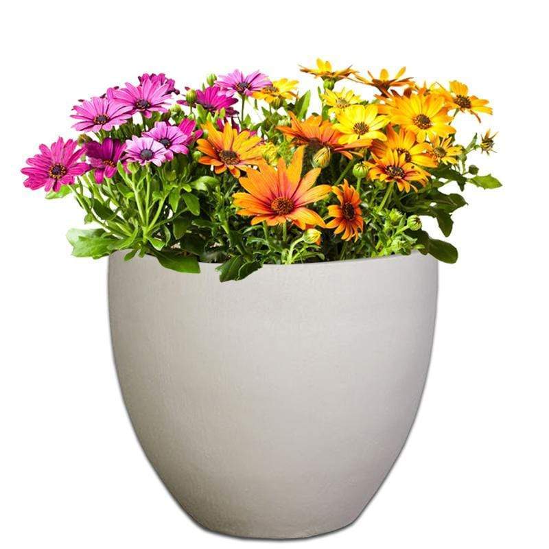 Premium Egg Plant Pot The Pot Shack Gauteng Concrete Pot