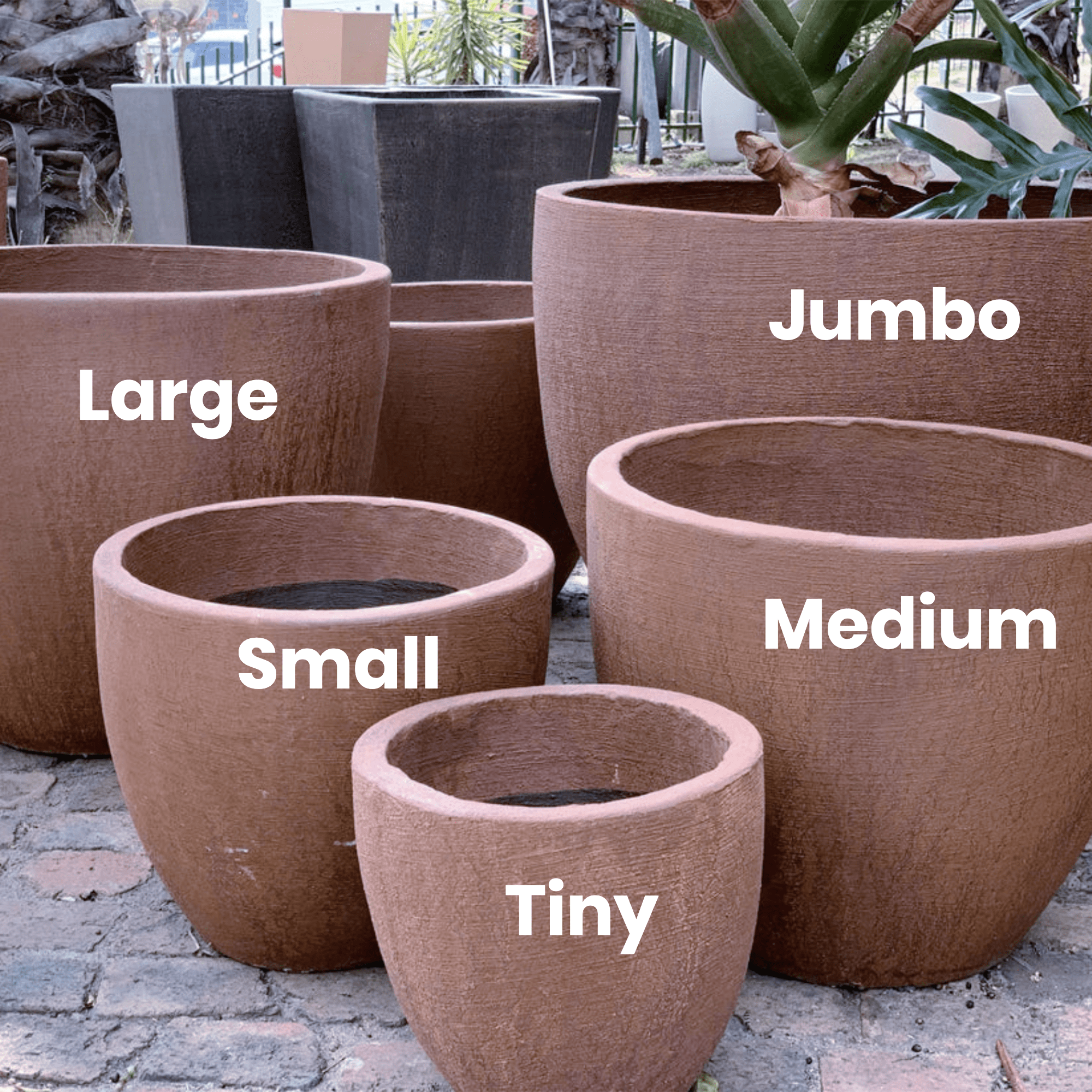 Premium Egg Plant Pot The Pot Shack Gauteng Concrete Pot