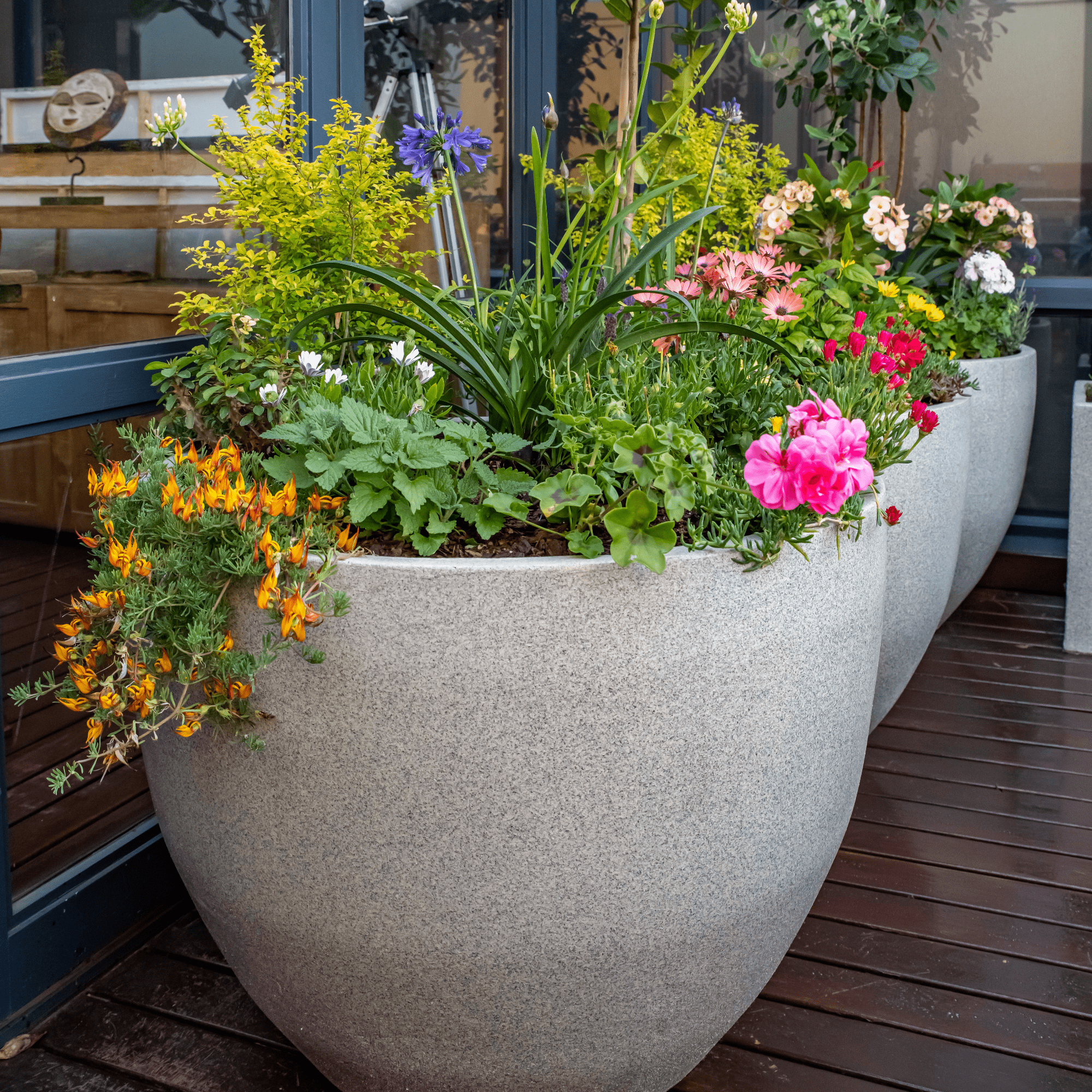 Premium Egg Plant Pot The Pot Shack Gauteng Concrete Pot