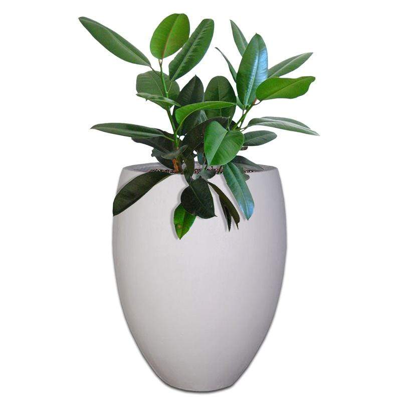 Premium Eggin Plant Pot The Pot Shack Gauteng Concrete Pot