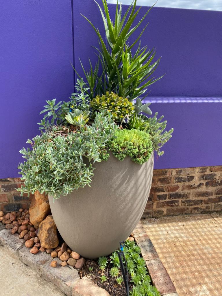 Premium Eggin Plant Pot The Pot Shack Gauteng Concrete Pot
