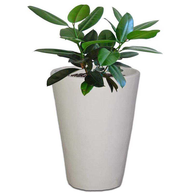 Premium Iris Plant Pot The Pot Shack Gauteng Concrete Pot
