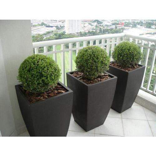 Premium Tulip Plant Pot The Pot Shack Gauteng Concrete Pots