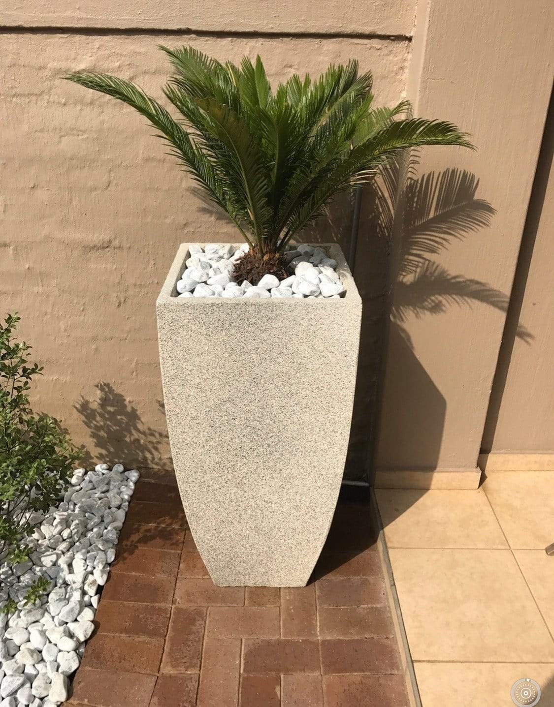 Premium Tulip Plant Pot The Pot Shack Gauteng Concrete Pots