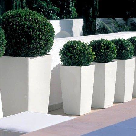 Premium Tulip Plant Pot The Pot Shack Gauteng Concrete Pots