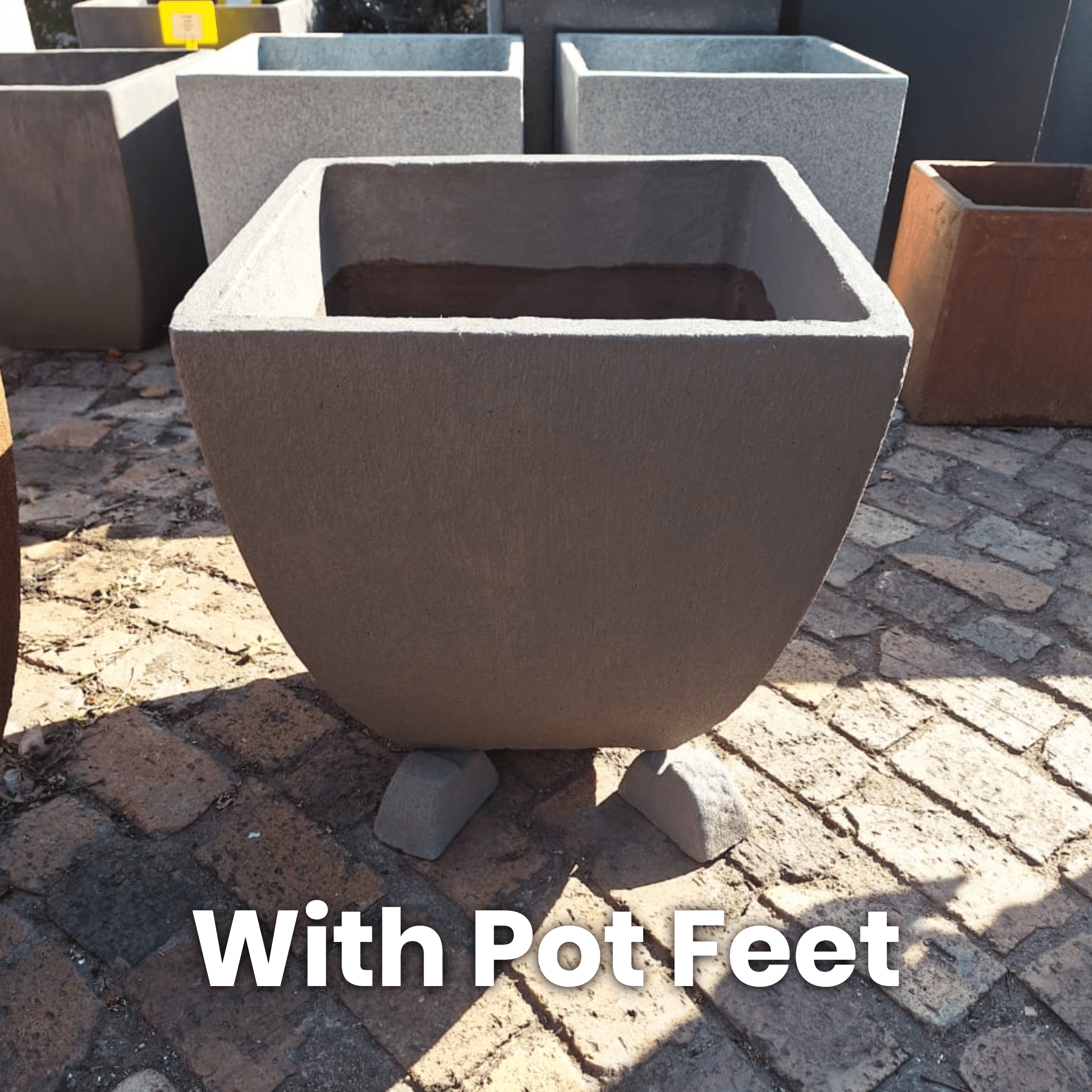 Premium Tulip Plant Pot The Pot Shack Gauteng Concrete Pots