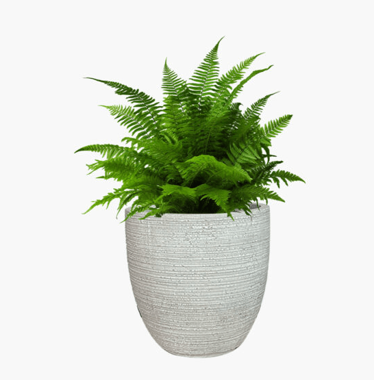 Sedona - Lightweight The Pot Shack Gauteng Lightweight Décor Range