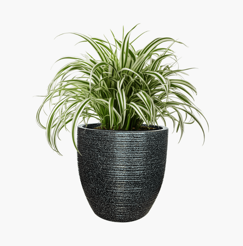 Sedona - Lightweight The Pot Shack Gauteng Lightweight Décor Range