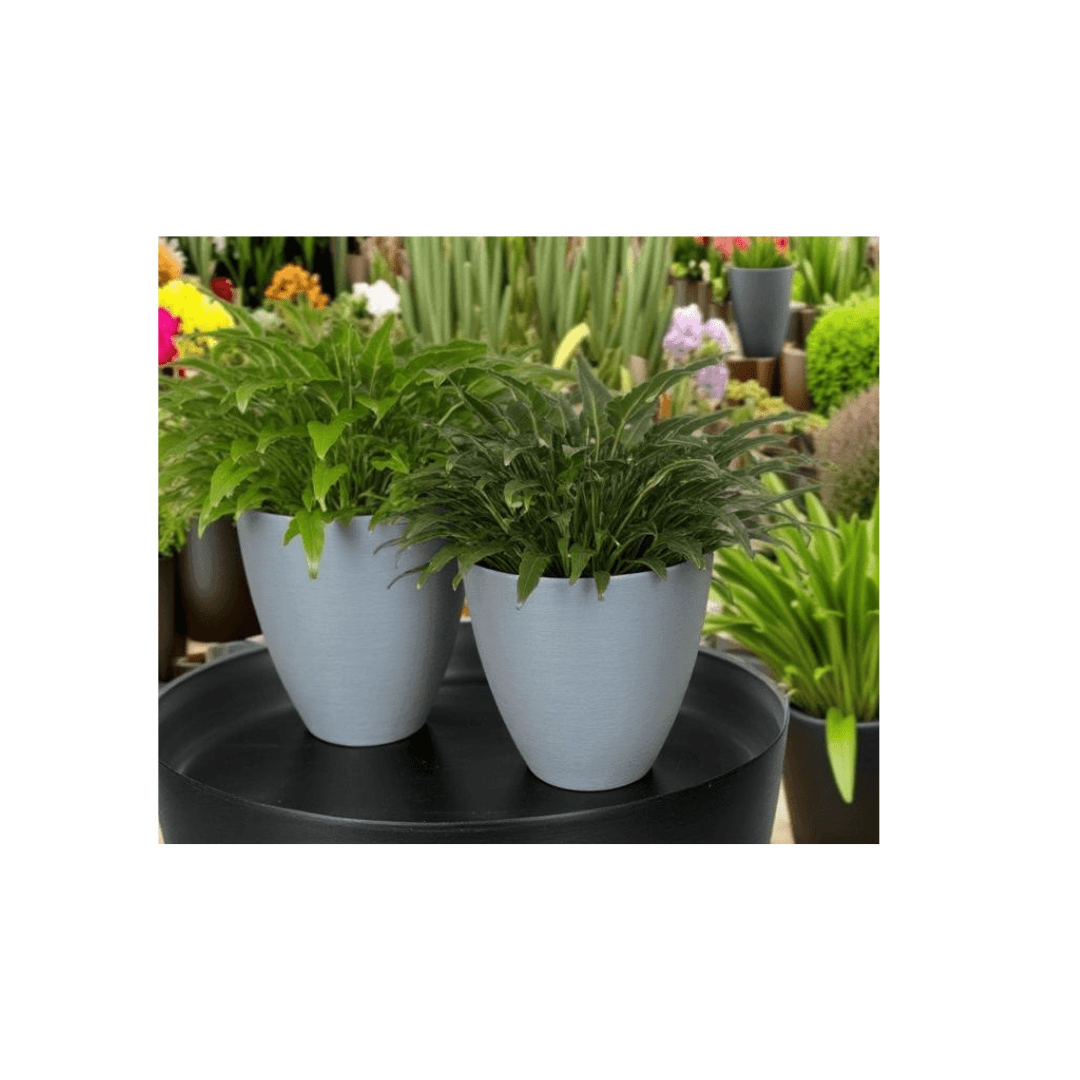 Willow Pot - Lightweight The Pot Shack Gauteng Lightweight Décor Range