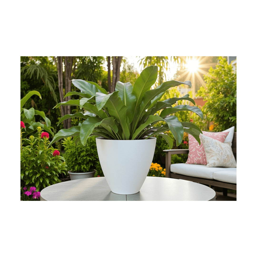Willow Pot - Lightweight The Pot Shack Gauteng Lightweight Décor Range