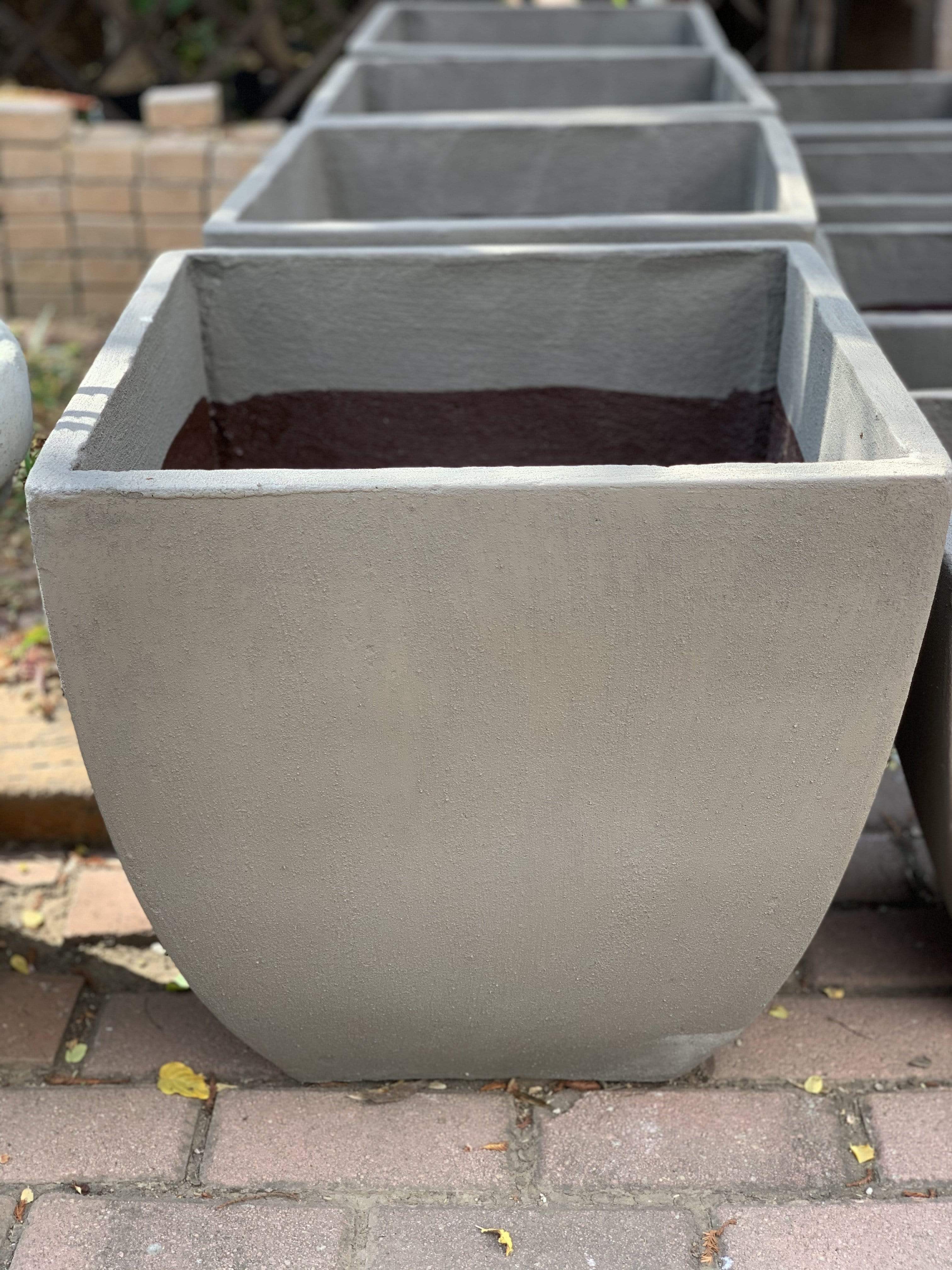 Bolivia Concrete Pot The Pot Shack Gauteng Concrete Pot