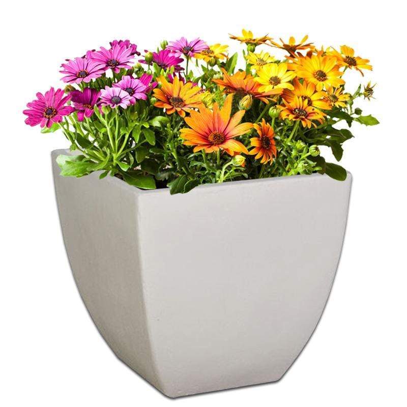 Bolivia Concrete Pot The Pot Shack Gauteng Concrete Pot