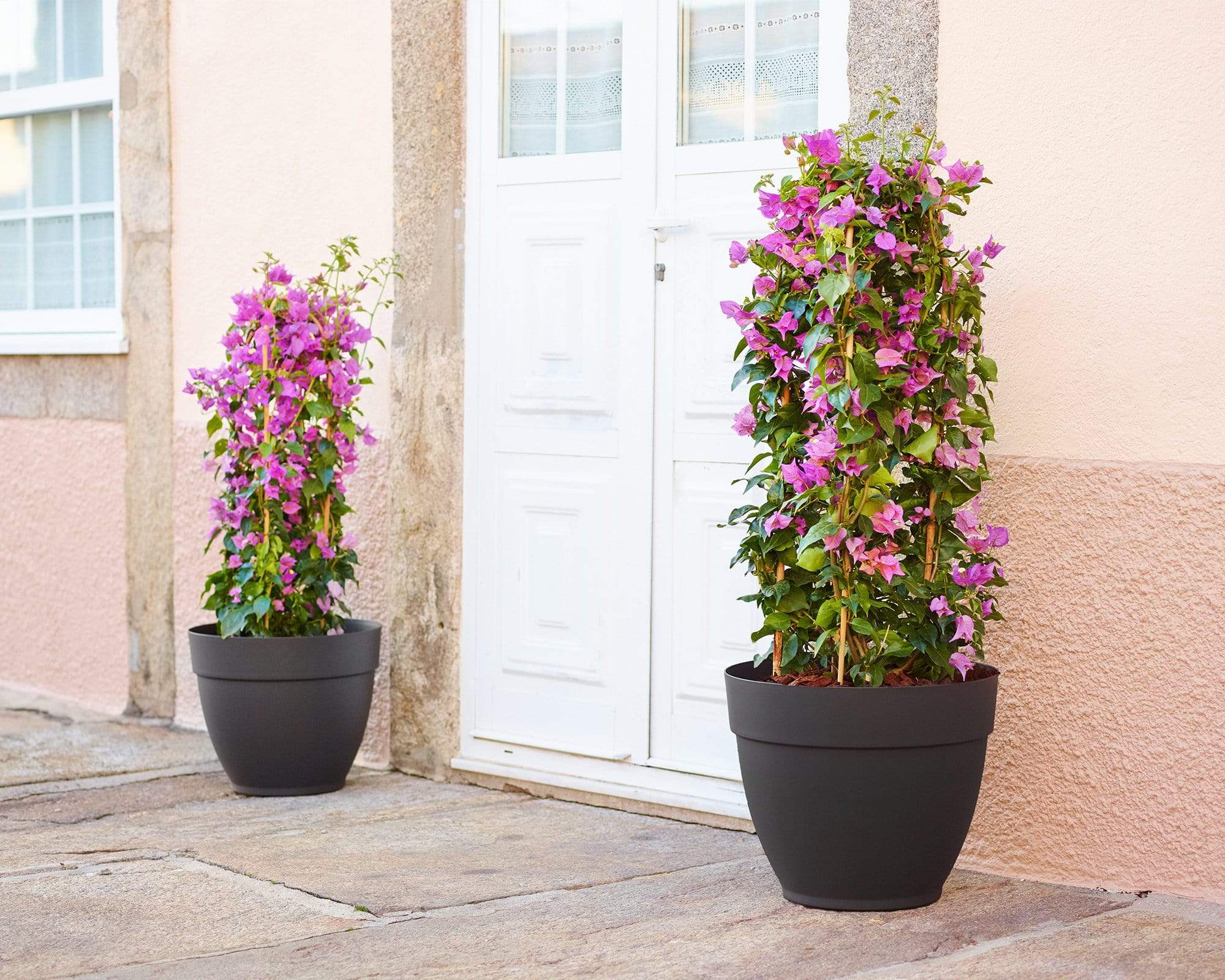 Capri Campana Pot Artevasi Gauteng Plastic Pots