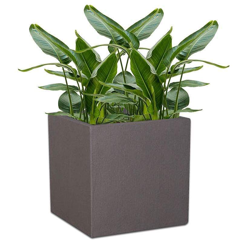 cube plant pots Cube Concrete Pot