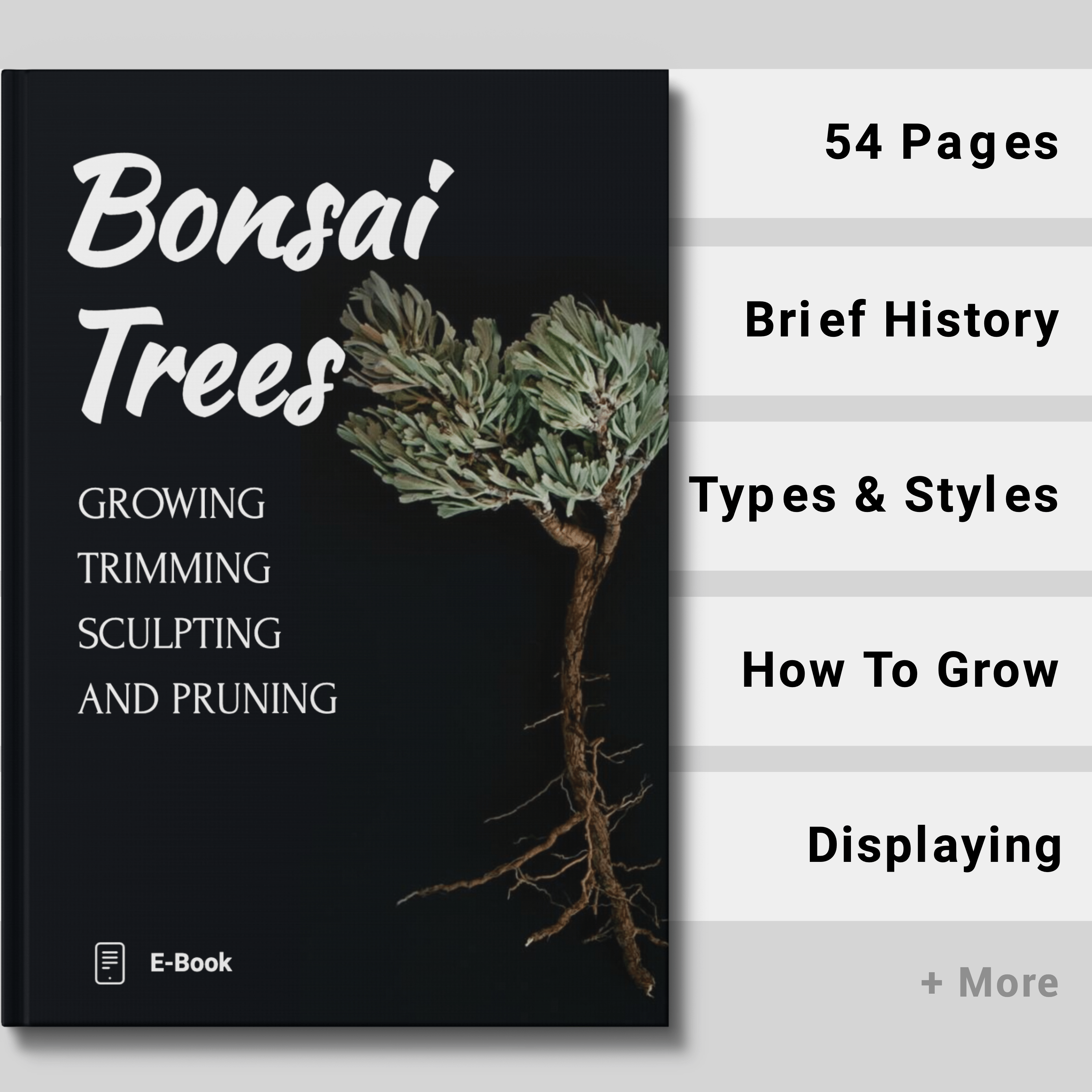 Essential E-Book Collection The Pot Shack Gauteng e-book