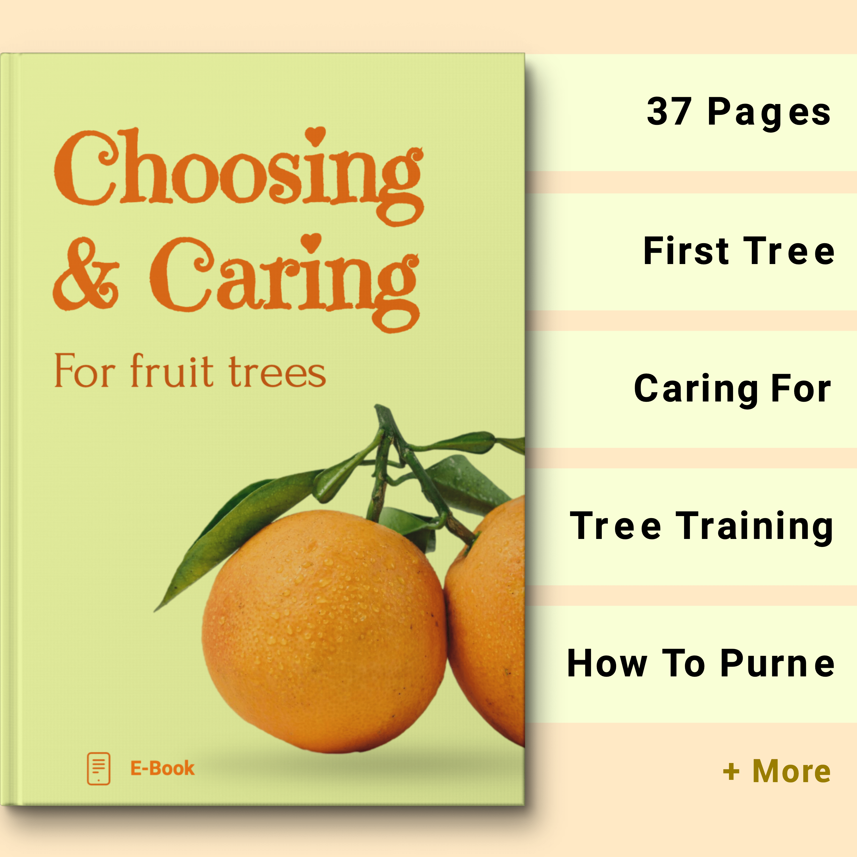 Essential E-Book Collection The Pot Shack Gauteng e-book