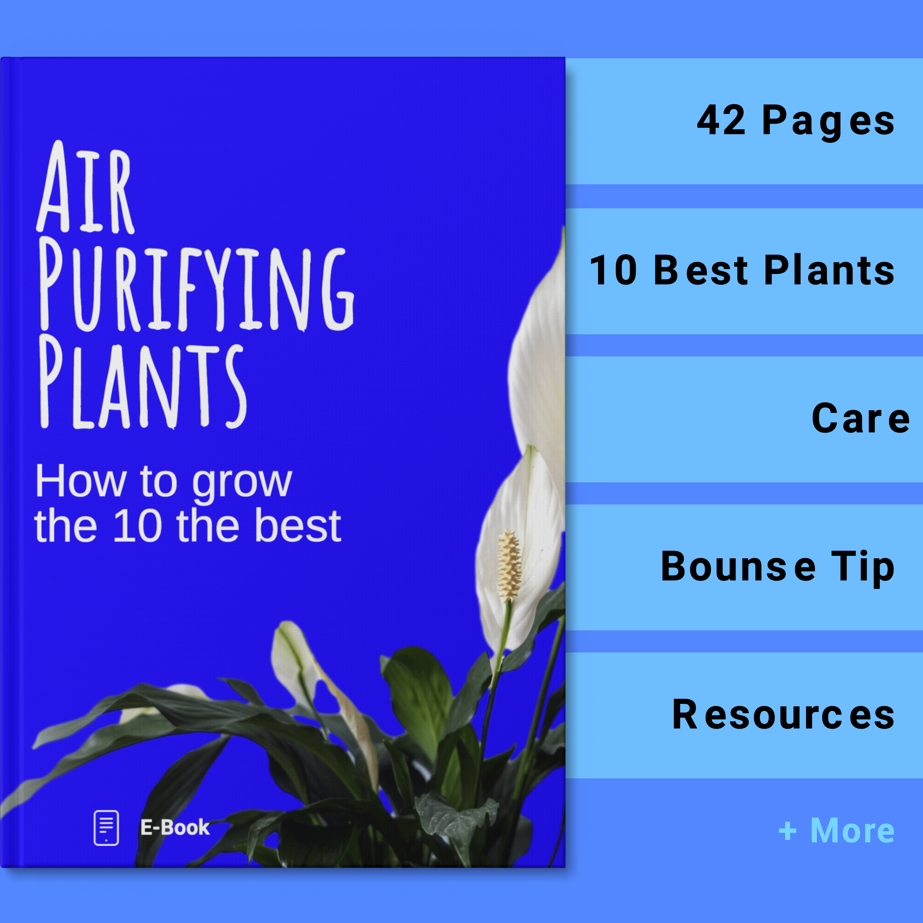 Essential E-Book Collection The Pot Shack Gauteng